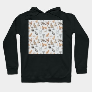 Pencil drawn cat Hoodie